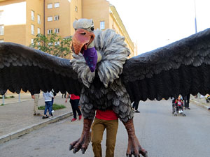 Fires de Sant Narcís 2022. XLI Trobada de Gegants i Bestiari