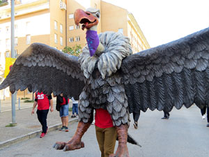 Fires de Sant Narcís 2022. XLI Trobada de Gegants i Bestiari