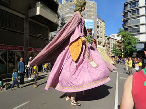 Fires de Sant Narcís 2022. XLI Trobada de Gegants i Bestiari
