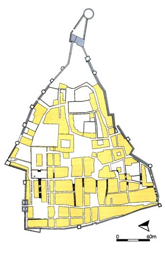 Planta de la ciutat de Girona a la segona meitat del segle X