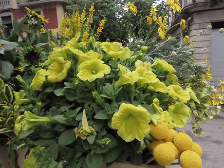 Temps de Flors 2022. Centre Comercial - Rambla de la Llibertat