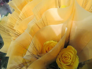 Diada de Sant Jordi 2022 a Girona