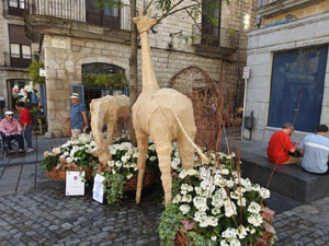 Temps de Flors 2022. Pujada del pont de Pedra