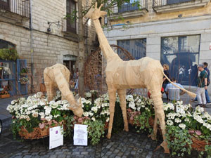 Temps de Flors 2022. Pujada del pont de Pedra