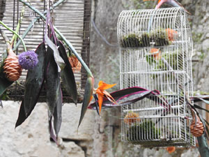 Temps de Flors 2022. Jardins dels Alemanys