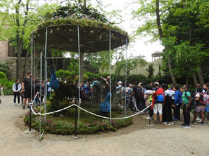 Temps de Flors 2022. Jardins dels Alemanys