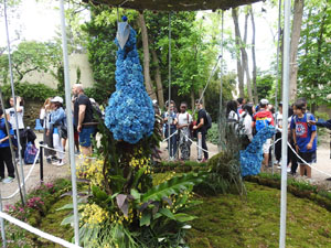 Temps de Flors 2022. Jardins dels Alemanys