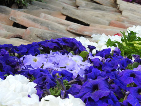 Temps de Flors 2022. Passeig Arqueol&ograve;gic - Mirador baix