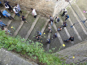 Temps de Flors 2022. Passeig Arqueol&ograve;gic - Zona Pins