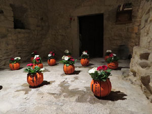 Temps de Flors 2022. Casa C&uacute;ndaro