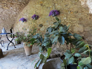 Temps de Flors 2022. Casa C&uacute;ndaro