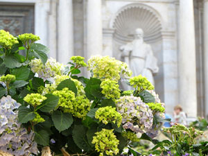 Temps de Flors 2022. Escales de la Catedral