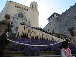 Temps de Flors 2022. Escales de la Catedral