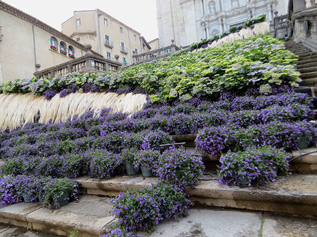 Temps de Flors 2022. Escales de la Catedral