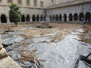 Temps de Flors 2022. Claustre de la Catedral