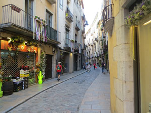 Temps de Flors 2022. Diversos espais