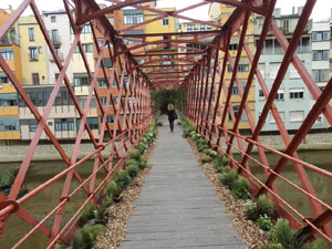 Temps de Flors 2022. Diversos espais