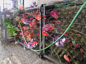 Temps de Flors 2022. Ajuntament - Entrada