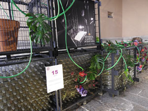 Temps de Flors 2022. Ajuntament - Entrada