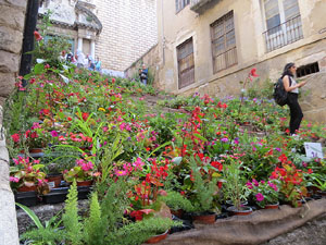 Temps de Flors 2022. Escales de l'Esgl&eacute;sia de Sant Mart&iacute;