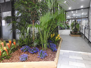 Temps de Flors 2022. Edifici F&ograve;rum