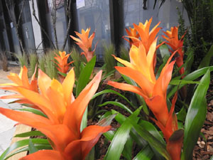 Temps de Flors 2022. Edifici F&ograve;rum