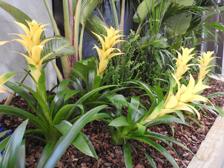 Temps de Flors 2022. Edifici F&ograve;rum