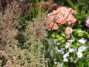 Temps de Flors 2022. Jardins de la Francesa