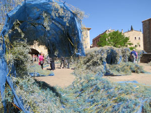 Temps de Flors 2022. Pla&ccedil;a dels Jurats