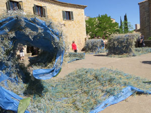 Temps de Flors 2022. Pla&ccedil;a dels Jurats