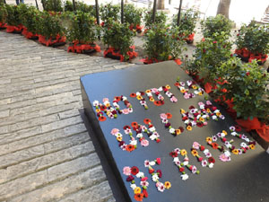 Temps de Flors 2022. Pati de les Magn&ograve;lies