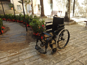 Temps de Flors 2022. Pati de les Magn&ograve;lies