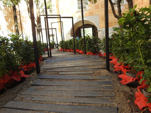 Temps de Flors 2022. Pati de les Magn&ograve;lies