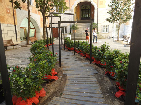 Temps de Flors 2022. Pati de les Magn&ograve;lies