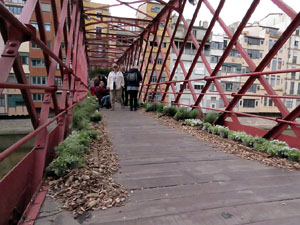 Temps de Flors 2022. Pont de les Peixateries Velles