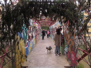 Temps de Flors 2022. Pont de les Peixateries Velles