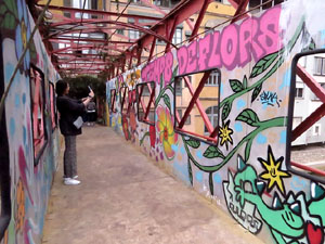 Temps de Flors 2022. Pont de les Peixateries Velles