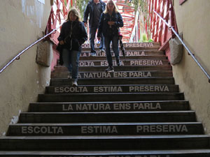 Temps de Flors 2022. Pont de les Peixateries Velles