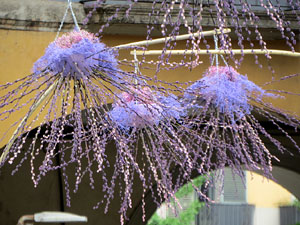 Temps de Flors 2022. Pont de Sant Agustí