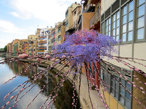 Temps de Flors 2022. Pont de Sant Agustí