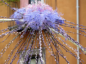 Temps de Flors 2022. Pont de Sant Agustí