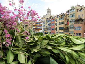 Temps de Flors 2022. Pont de Sant Agustí