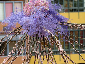 Temps de Flors 2022. Pont de Sant Agustí