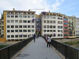 Temps de Flors 2022. Pont de Sant Agustí