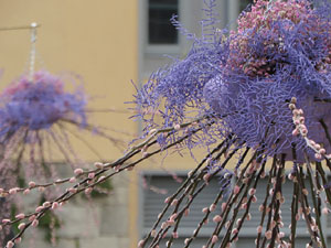 Temps de Flors 2022. Pont de Sant Agustí
