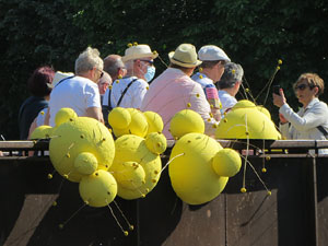Temps de Flors 2022. Pont de Sant Feliu