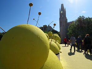 Temps de Flors 2022. Pont de Sant Feliu