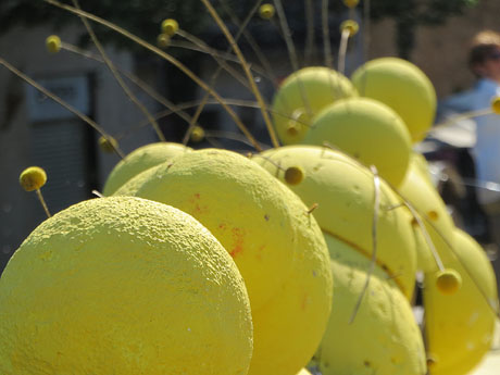 Temps de Flors 2022. Pont de Sant Feliu