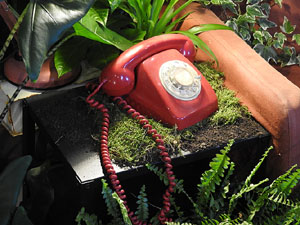 Temps de Flors 2022. Les Sarra&iuml;nes