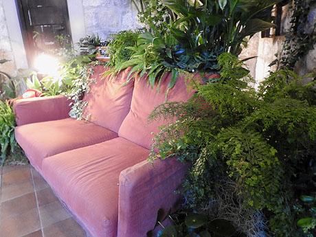 Temps de Flors 2022. Les Sarra&iuml;nes